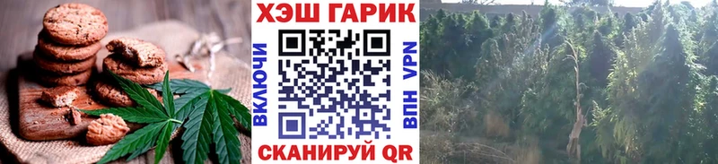 как найти наркотики  Емва  Еда ТГК конопля 