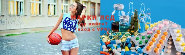 сатива Покров
