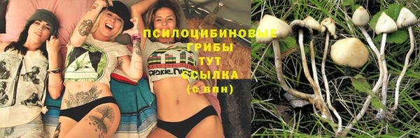 сатива Покров