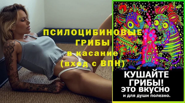 сатива Покров